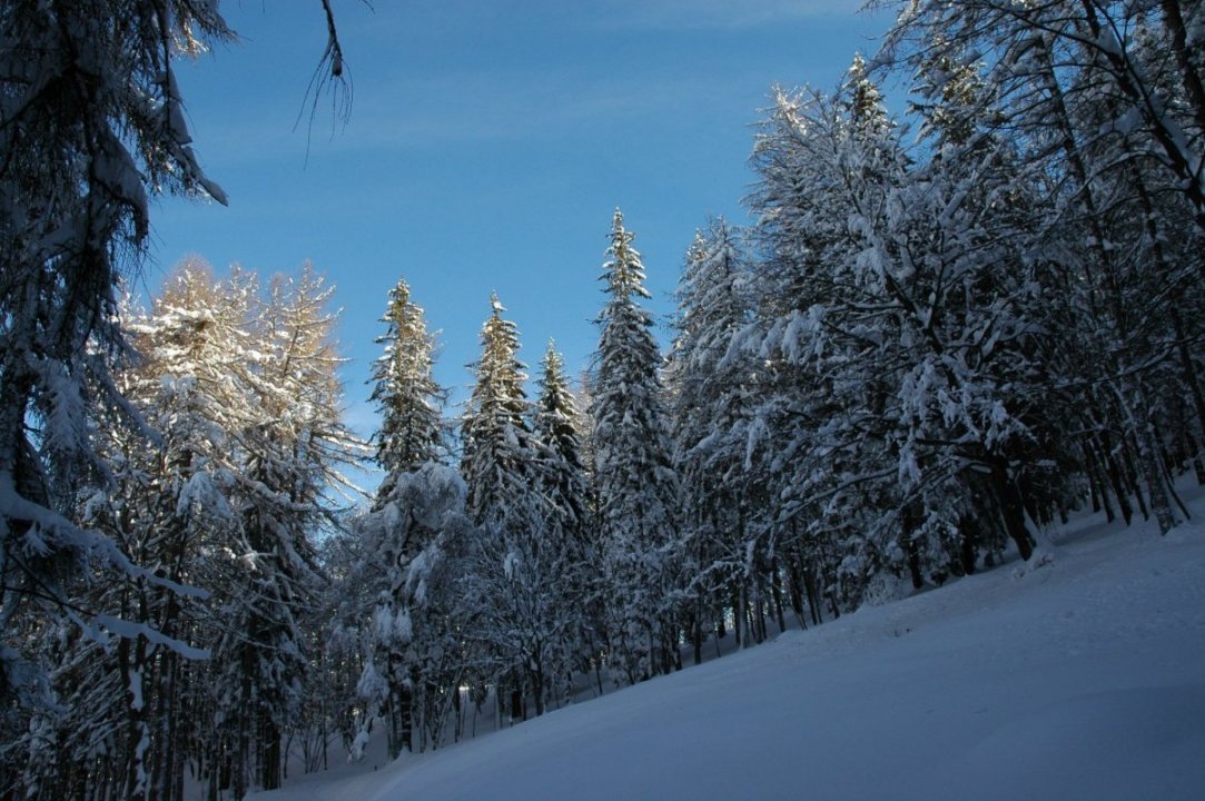 Parco Valentino al Monte Coltignone